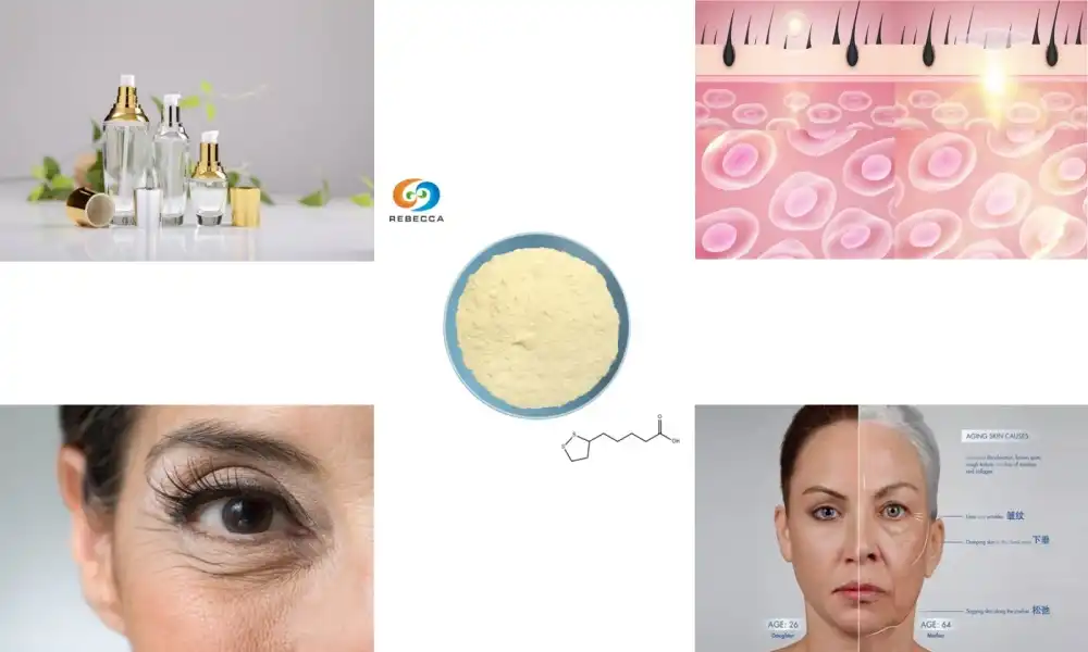Why α-Lipoic Acid Is Popular in Anti-Aging Products Why α-Lipoic Acid Is Popular in Anti-Aging Products